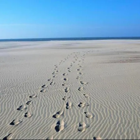 In Near The Nieuwpoort